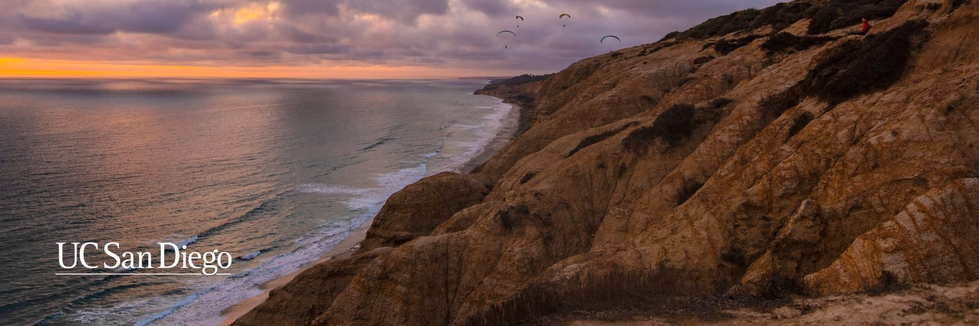 UC San Diego Division of Extended Studies - International Programs | La ...